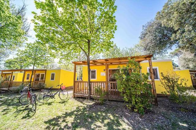 MOBILE_HOME_LEMON_HILL-13.JPG