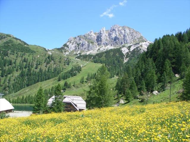 7.JPG