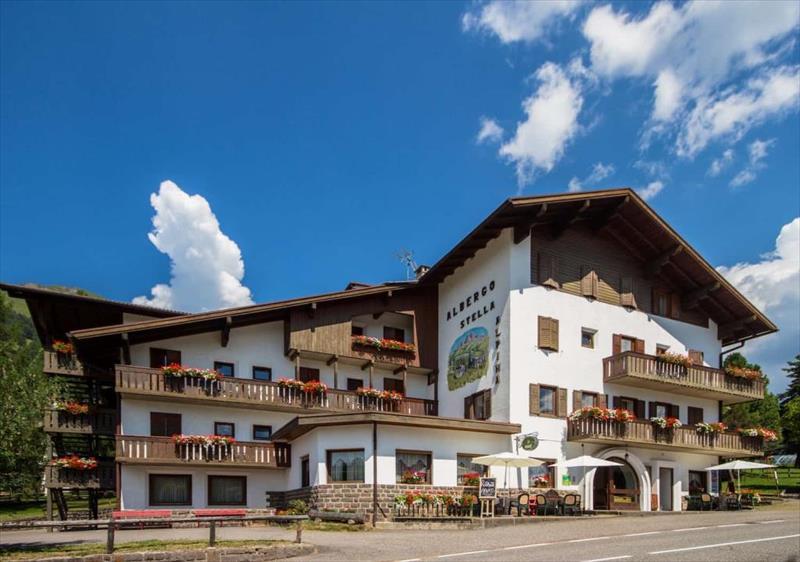 Stella Alpina