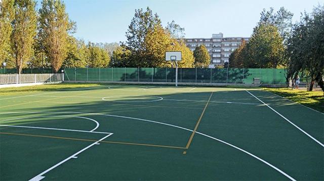 CAMPO-BASKET.JPG