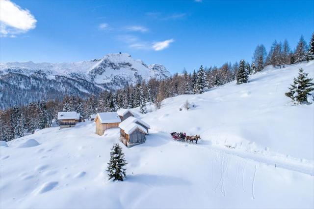 APTVALDIFASSA_36_MATTIA_RIZZI_1697.JPG