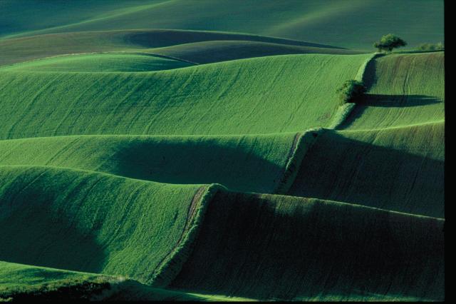 Vzhůru do Yellowstonu