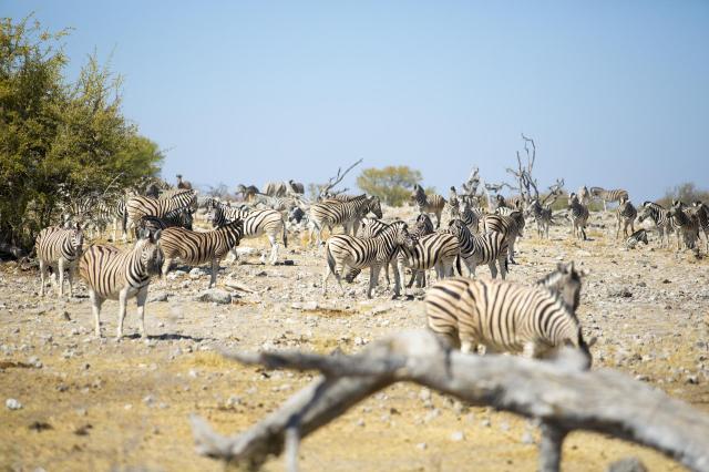 Namibie - svůdná a nepoznaná