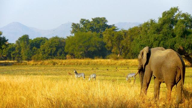 Zambie – Malawi