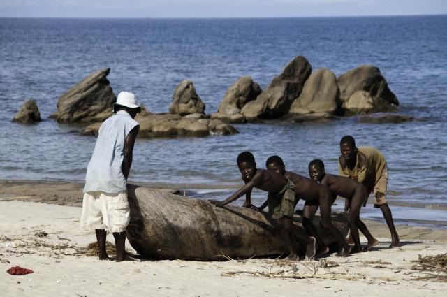 Zambie – Malawi