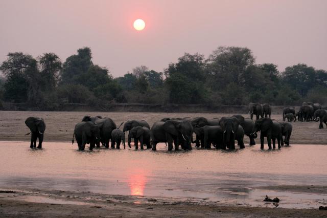 Zambie – Malawi