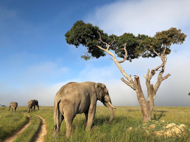 Zimbabwe - ve stopách Emila Holuba