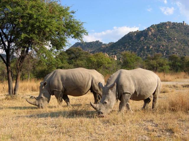 Zimbabwe - ve stopách Emila Holuba