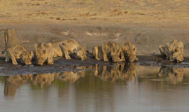 Zimbabwe - ve stopách Emila Holuba