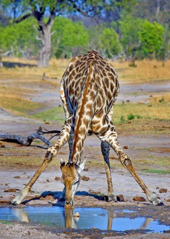Zimbabwe - ve stopách Emila Holuba