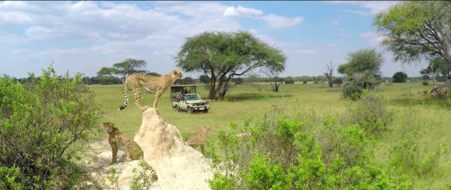 Zimbabwe - ve stopách Emila Holuba