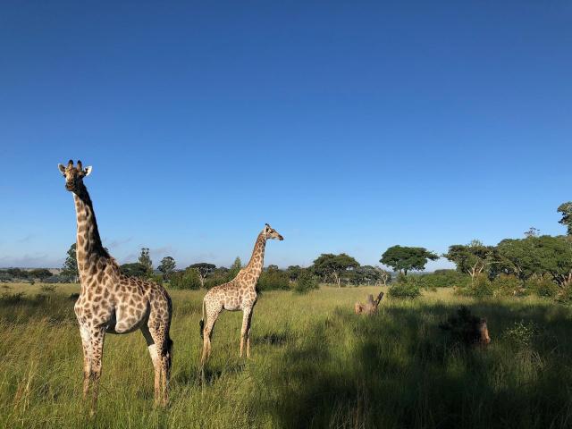 Zimbabwe - ve stopách Emila Holuba