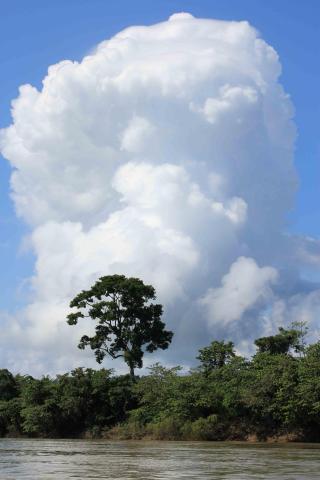 Guatemala - Honduras - Belize - Mexiko