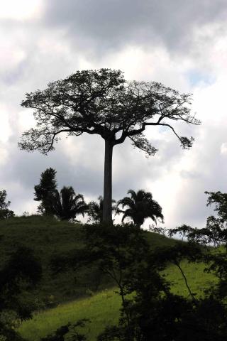 Guatemala - Honduras - Belize - Mexiko