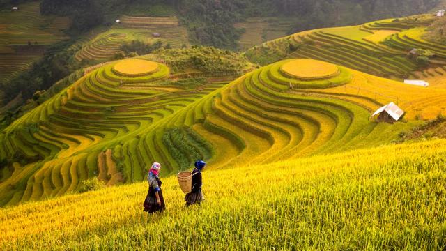 Hory a ostrovy severního Vietnamu