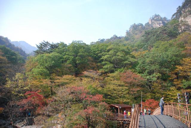 Jižní Korea
