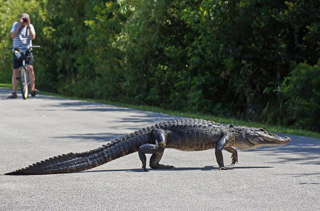 FLORIDA: státem slunce a pláží