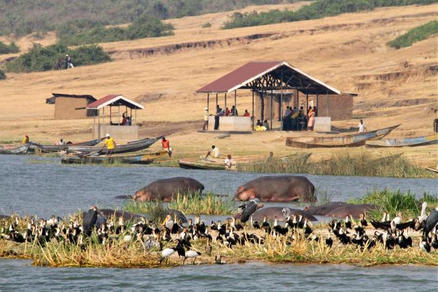 Okruh Ugandou a horské gorily