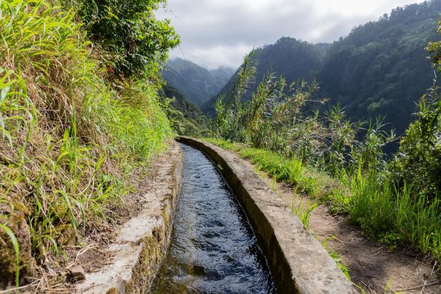 Madeira za poznáním
