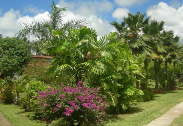 Kombinace - Blue Lagoon Chalet **, Mahé, Hotel Villas Mon Plais