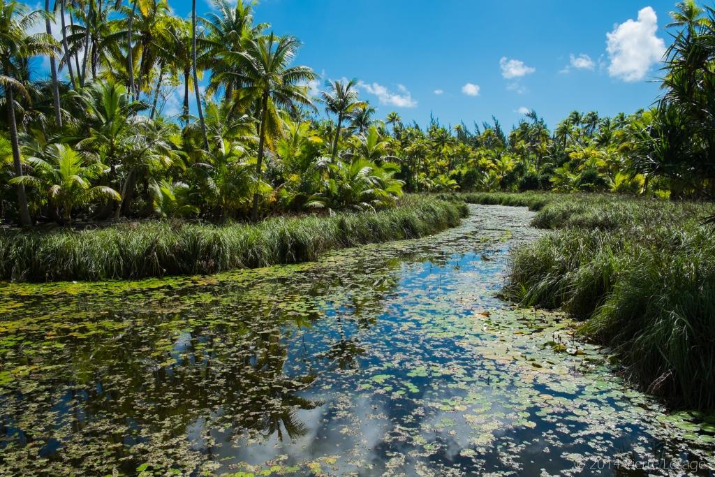 The Brando , Tetiaroa