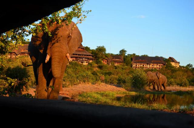Victoria Falls Safari Lodge , Victoria Falls