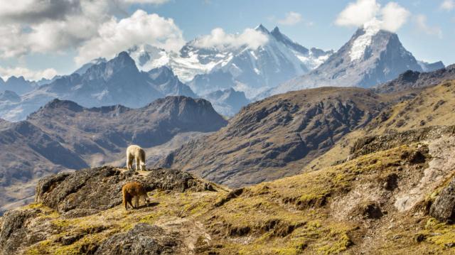 Ledové království Patagonie a Ohňová země