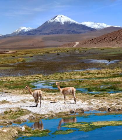 Napříč Jižní Amerikou (Ekvádor, Peru, Bolívie, Argentina, Urugu