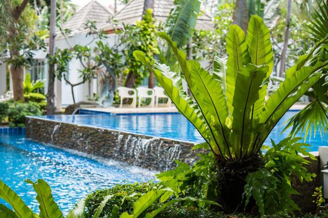 Kombinace - Koh Tao Montra ***, Ko Tao - pláž Mae Haad, Bangkok