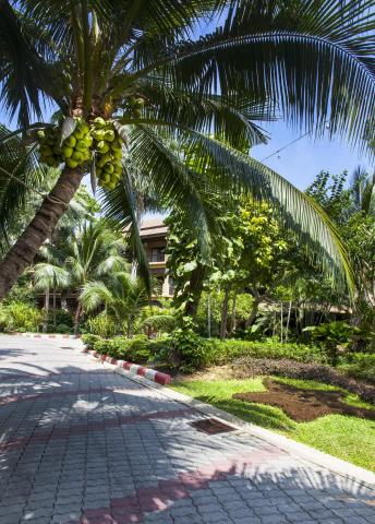 Kombinace - Fair House Beach Resort ***, Ko Samui - pláž Chawen