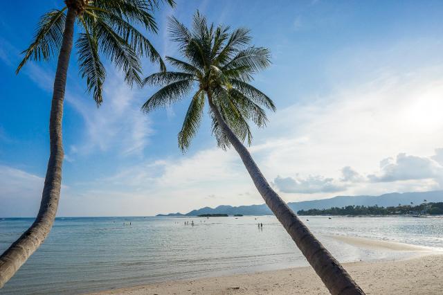 Kombinace - Chaba Cabana Beach Resort & Spa***, Ko Samui - Chaw