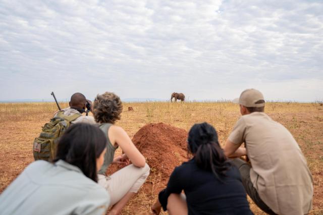 Cape Town & Victoria Falls & safari v rezervaci Matusadona