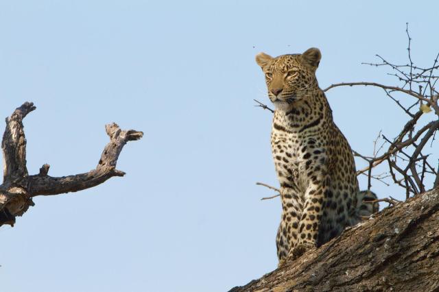 Cape Town & Victoria Falls & safari v rezervaci Matusadona