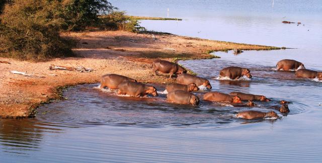 Cape Town & Victoria Falls & safari v rezervaci Matusadona