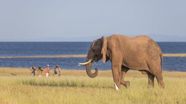 Cape Town & Victoria Falls & safari v rezervaci Matusadona