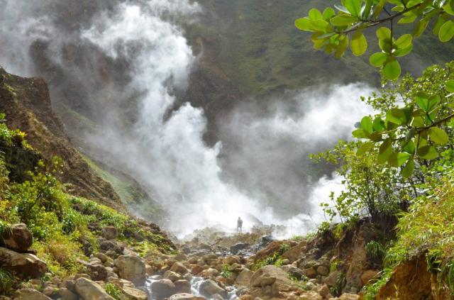 Jungle Bay Resort & SPA , Dominica
