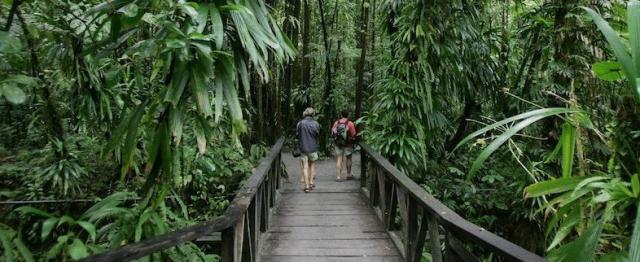 Jungle Bay Resort & SPA , Dominica