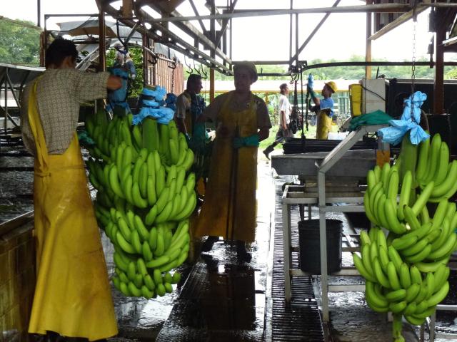Panama - Nikaragua - Kostarika