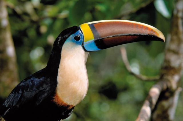Panama - Nikaragua - Kostarika