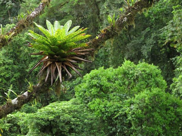 Panama - Nikaragua - Kostarika
