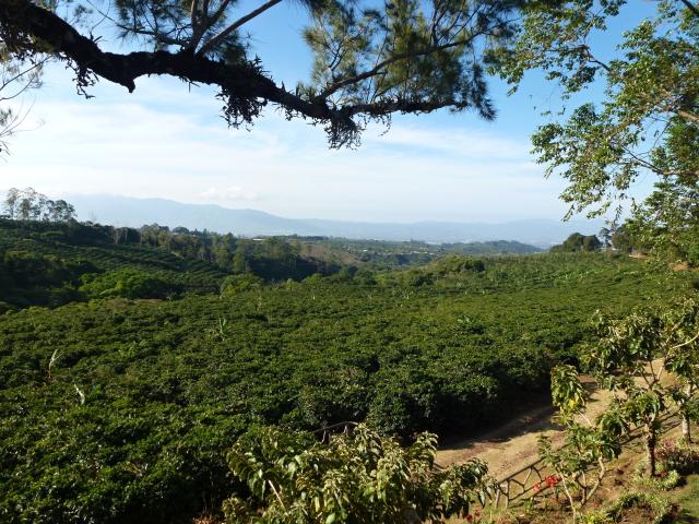 Panama - Nikaragua - Kostarika