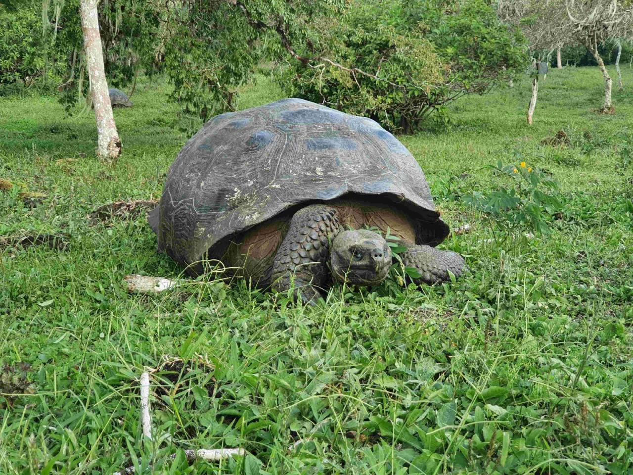 Ekvádor od rovníku k Pacifiku a 5denní plavba po Galapágách