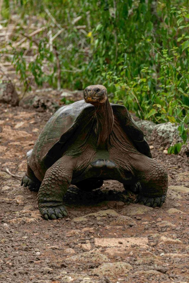 Ekvádor od rovníku k Pacifiku a 5denní plavba po Galapágách