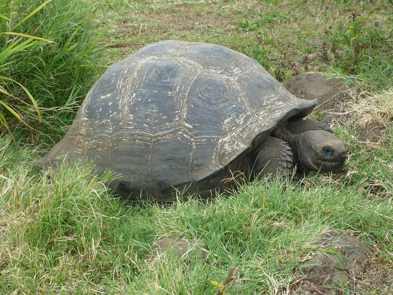 Ekvádor od rovníku k Pacifiku a 5denní plavba po Galapágách