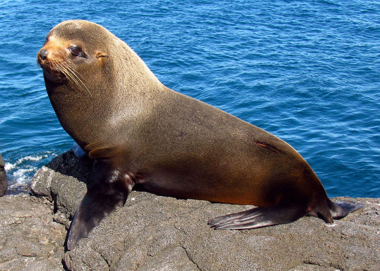 Ekvádor od rovníku k Pacifiku a 5denní plavba po Galapágách