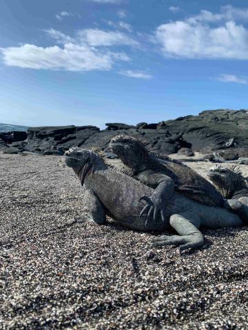 Ekvádor od rovníku k Pacifiku a 5denní plavba po Galapágách