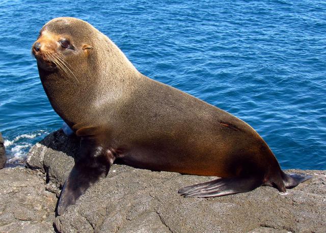 Ekvádor od rovníku k Pacifiku a 5denní plavba po Galapágách
