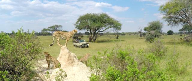 Victoria Falls & safari v rezervaci Hwange │ prodloužení