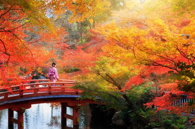Okruh středním Japonskem  EXPO (program v roce 2025)