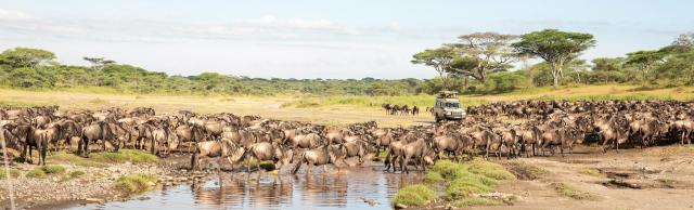 Tanzanie: africká dramata koloběhu života s českým průvodcem
